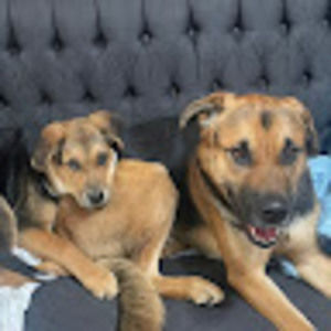 Meet your Posher, Nikillan